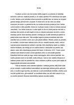 Referāts 'Vizuālās uztveres neiropsihloģiskie mehānismi lasīšanas laikā', 2.