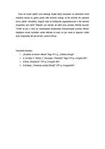 Eseja 'Bruņniecība un kurtuāzā kultūra', 8.