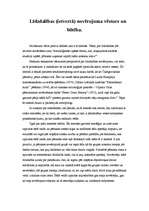 Referāts 'Līdzdalības novērojums', 4.