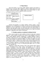 Referāts 'Saplākšņa ražošanas tehnoloģiskais process', 7.