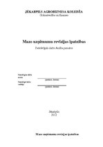 Referāts 'Mazo uzņēmumu revīzijas īpatnības', 1.