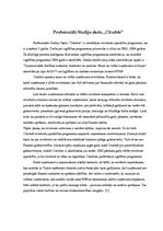Referāts 'Mazo uzņēmumu revīzijas īpatnības', 4.