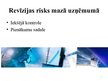 Referāts 'Mazo uzņēmumu revīzijas īpatnības', 12.