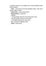 Referāts 'Pusaudžu izziņas intereses pilnveidošana pamatskolā', 3.