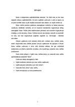 Referāts 'Risku vadība', 2.