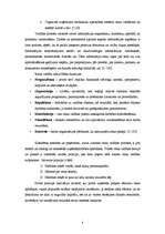 Referāts 'Risku vadība', 4.