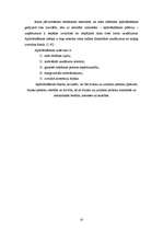 Referāts 'Risku vadība', 10.