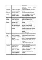 Referāts 'Risku vadība', 13.