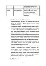 Referāts 'Risku vadība', 17.