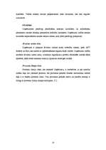 Referāts 'Risku vadība', 19.