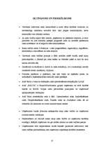 Referāts 'Risku vadība', 20.