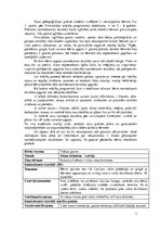 Prakses atskaite 'Aktīvā mācību un audzināšanas prakse pirmsskolā', 3.