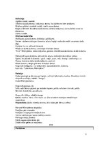 Prakses atskaite 'Aktīvā mācību un audzināšanas prakse pirmsskolā', 11.