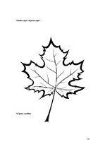 Prakses atskaite 'Aktīvā mācību un audzināšanas prakse pirmsskolā', 24.