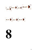 Prakses atskaite 'Aktīvā mācību un audzināšanas prakse pirmsskolā', 30.