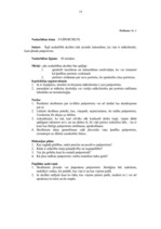 Referāts 'Vecāko klašu skolēnu profesionālā orientācija', 19.