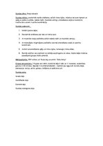 Konspekts 'Treniņstunda "Skaņu pasaule"', 3.