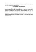 Referāts 'Krusta kari Latvijas teritorijā 13.gadsimtā', 5.