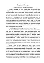 Referāts 'Krusta kari Latvijas teritorijā 13.gadsimtā', 8.