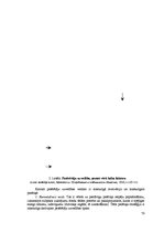 Diplomdarbs 'Patērētāju uzvedības sociālekonomiskie faktori: reģionālais aspekts', 72.