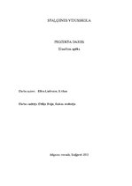 Konspekts 'Elastības spēks', 1.