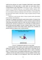 Referāts 'Ģenētiski modificētā pārtika - 21.gs. dzīves realitāte', 22.