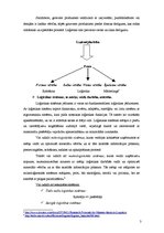 Konspekts 'Loģistikas funkcijas un loģistikas ķēde', 3.