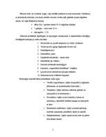 Referāts 'Ieskats astrālajā pasaulē', 7.