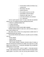 Referāts 'Ieskats astrālajā pasaulē', 9.