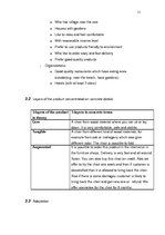 Referāts 'International Marketing Report. Garden Furniture "Paradise"', 11.