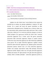 Referāts 'Nacionālā valūta un reālais valūtas kurss', 8.