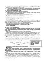 Konspekts 'Ievads psiholoģiskajā konsultēšanā', 4.