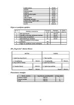 Biznesa plāns 'SIA "Ungursalas". Biznesa plāns', 30.