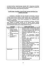 Referāts 'Interneta atkarība', 13.