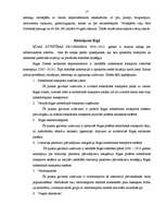 Referāts 'Sastrēgumi kā pilsētas attīstības problēma', 17.