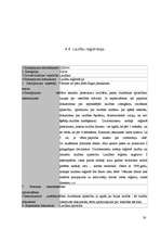 Referāts 'Laulību noslēgšana', 30.