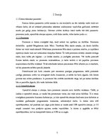 Konspekts 'Dators māksliniekam - izvēles kritēriji un iespējas', 3.