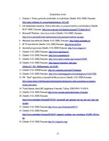 Konspekts 'Dators māksliniekam - izvēles kritēriji un iespējas', 13.