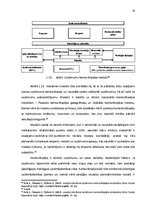 Diplomdarbs 'Piensaimniecības nozares konkurētspējas nodrošināšanas stratēģija Latvijā', 28.
