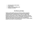 Referāts 'Hiperbāra terapija', 4.