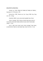 Referāts 'Ceļa un virzības motīvs Margitas Gūtmanes grāmatā "Vēstules mātei"', 6.