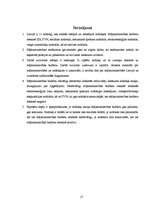 Referāts 'Nodokļu ietekme uz mājsaimniecības budžetu', 17.