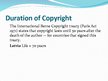 Prezentācija 'Copyright Issues in Different Fields', 7.