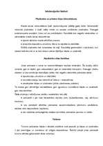 Referāts 'Tūrisma aktuālās problēmas, to risinājumi', 7.