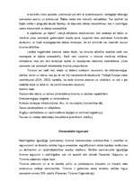 Referāts 'Tūrisma aktuālās problēmas, to risinājumi', 8.