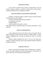 Referāts 'Tūrisma aktuālās problēmas, to risinājumi', 13.