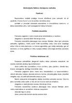 Referāts 'Tūrisma aktuālās problēmas, to risinājumi', 15.