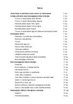 Referāts 'Tūrisma aktuālās problēmas, to risinājumi', 17.