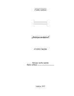 Referāts 'Policijas struktūra', 1.