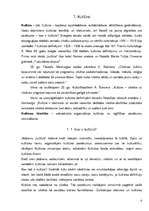 Referāts 'Kultūras dzīve Nīgrandes pagastā', 4.